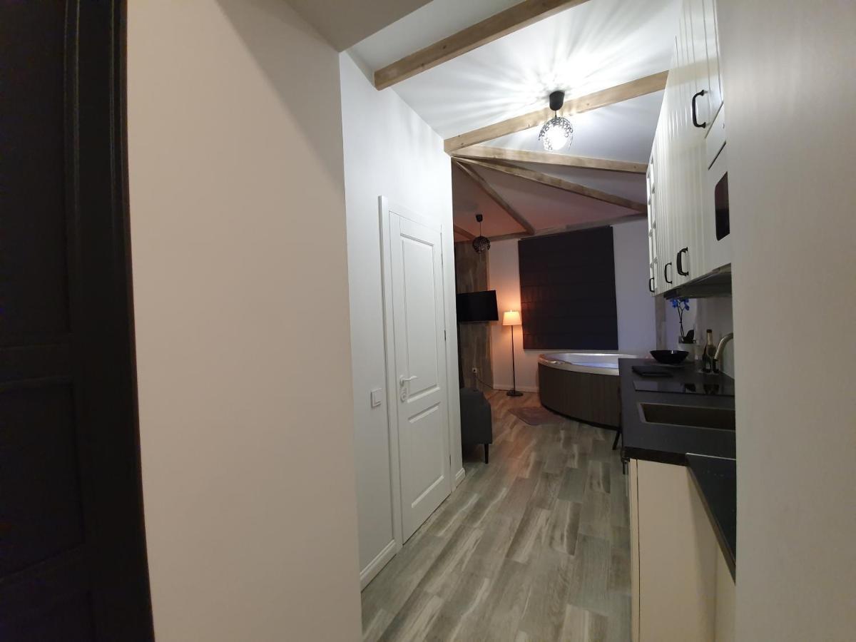 Apartamentai Su Jacuzzi Panevėžys Zewnętrze zdjęcie