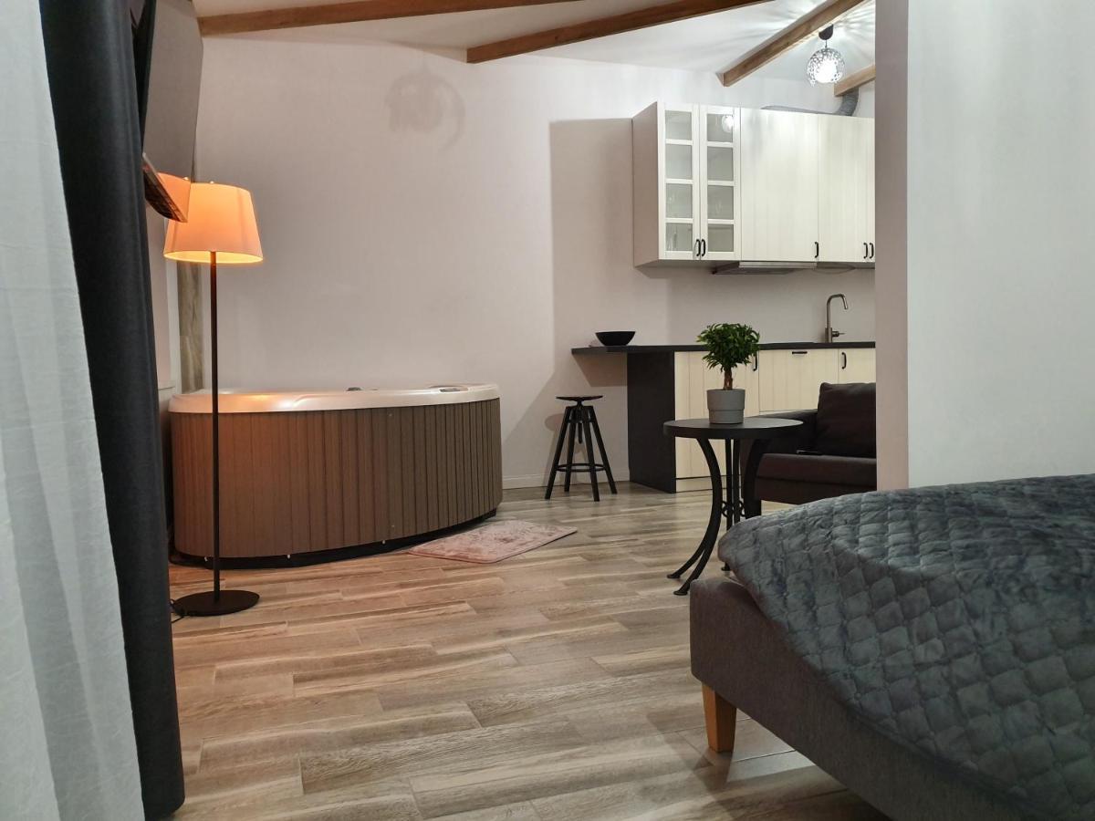Apartamentai Su Jacuzzi Panevėžys Zewnętrze zdjęcie